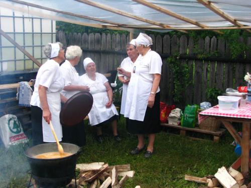 Ditrói Falunapok 2013